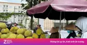 Giá sầu riêng Ri6 bật tăng mạnh, nông dân phấn khởi