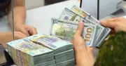 Giá USD sáng 18.5: Ngân hàng đứng yên, thị trường tự do tăng 20 đồng