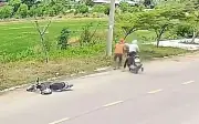 Gia Lai: Bắt giữ đối tượng cướp giật dây chuyền vàng của phụ nữ đi xe đạp điện