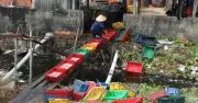Gia Lai chỉ đạo xử lý ô nhiễm từ chế biến mực xà tại xã Đề Gi