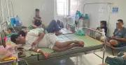 Gia Lai siết chặt an toàn thực phẩm sau vụ nghi ngộ độc bánh mì