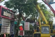 Gia Lai: Xe bơm bê tông gặp sự cố, một thợ xây tử vong tại chỗ