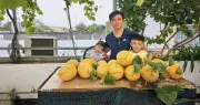 Gia đình ở Lâm Đồng làm vườn 72m2 trên sân thượng, ăn trái cây sạch quanh năm