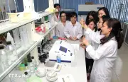 Giải bài toán công nghệ Việt qua chuỗi liên kết 3 nhà