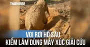 Giải cứu chú voi rơi xuống hồ trong rẫy xoài