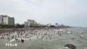 Giải cứu kịp thời 2 nữ du khách mắc kẹt do thủy triều dâng tại biển Sầm Sơn