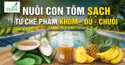 Giải pháp vi sinh bản địa biến phụ phẩm nông nghiệp thành thức ăn cho tôm