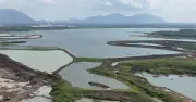 Giám đốc Hàn Quốc mất tích khi chèo SUP tại hồ Đá Đen