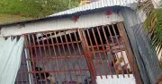 Giông lốc mạnh làm hư hại hàng chục căn nhà ở Đồng Tháp