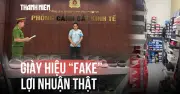 Giày hiệu fake, lợi nhuận thật: Chủ cửa hàng bị khởi tố