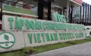GVR báo lãi kỷ lục quý I/2026 nhờ giá cao su tăng mạnh
