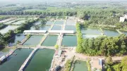 Hồ Dầu Tiếng: Điểm tựa thủy lợi chiến lược cho vùng Đông Nam Bộ