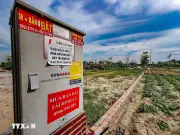 Hà Nội kiểm tra hoạt động môi giới tại khu tái định cư cầu vượt sông Hồng