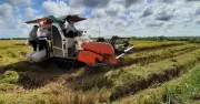 Hà Nội thí điểm mô hình nông nghiệp đô thị sinh thái