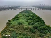 Hà Nội đề xuất phát triển nông nghiệp kết hợp du lịch trên bãi sông Hồng