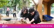 Hổ thư giãn, linh cẩu 'siêu vòng ba' gây sốt ở Thảo Cầm Viên Sài Gòn