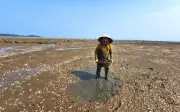 Hà Tĩnh: Không phát hiện tảo độc trong vụ ngao chết hàng loạt