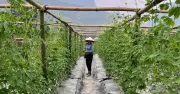 Hà Tĩnh đẩy mạnh tuyên truyền khoa học công nghệ và chuyển đổi số