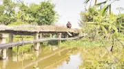 Hai cầu dân sinh xuống cấp nghiêm trọng tại Nam Thụy Anh, người dân mong sớm xây mới
