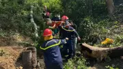 Hai học sinh đạp xe phượt rơi xuống vực sâu 50m ở Đắk Lắk