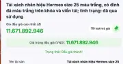 Hai túi Hermes của bà Trương Mỹ Lan được đấu giá thành công với giá hơn 14 tỉ đồng