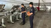 Hải quan Thái Nguyên đẩy mạnh cải cách, hỗ trợ doanh nghiệp xuất nhập khẩu