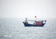 Hội Thủy sản Việt Nam phản đối lệnh cấm đánh bắt cá đơn phương của Trung Quốc
