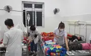 Hơn 200 học sinh ở Lai Châu nghi ngộ độc do ăn quả lạ