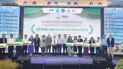 Hơn 20.000 hộ nông dân tham gia dự án lúa gạo bền vững tại ĐBSCL