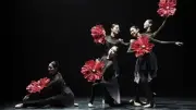Hàn Quốc tổ chức 'Korea Season 2026' tại Việt Nam và Thái Lan