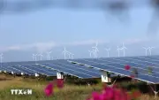 Hưởng ứng Ngày Toàn dân tiết kiệm chống lãng phí năm 2026
