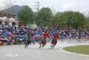 Hàng nghìn người dân và du khách đến cổ vũ giải đua ngựa truyền thống Bắc Hà