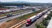 Hàng trăm xe container chở sầu riêng ùn ứ ở cửa ngõ, xếp hàng chờ kiểm định