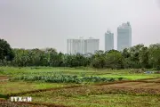 Hưng Yên: Đối tượng đào móc trộm hàng nghìn mét khối đất canh tác