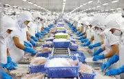 HSBC Việt Nam giữ vững đà tăng trưởng giữa bão gió toàn cầu