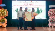 Hạt tiêu Tiên Phước được bảo hộ chỉ dẫn địa lý, mở ra cơ hội phát triển bền vững