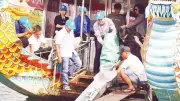 Huế bảo vệ động vật hoang dã và thủy sản: Thách thức và giải pháp bền vững