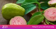 Ổi ruột hồng: Món quà dinh dưỡng cho sức khỏe và làn da