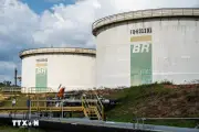 IEA: Thế giới chỉ còn vài tuần để ứng phó nguy cơ thiếu hụt dầu