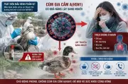 Điện Biên phát hiện cúm A/H5N1 trên vịt, khẩn cấp phòng chống dịch