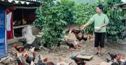 Điện Biên đẩy mạnh chuyển đổi số trong truyền thông khuyến nông