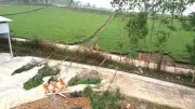 Điện lực Trấn Yên chủ động phòng chống thiên tai mùa mưa bão 2026
