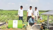 Điện mặt trời giúp nông dân Tây Ninh giảm chi phí tưới sắn