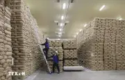 Indonesia lập kỷ lục dự trữ gạo cao nhất lịch sử