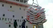 Indonesia tự chủ lương thực: Thách thức mới cho gạo Việt Nam