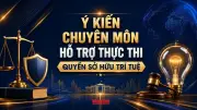 Infographic: Ý kiến chuyên gia hỗ trợ thực thi quyền sở hữu trí tuệ