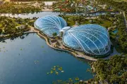 Kỳ Hoa Di Thảo sắp hiện diện tại Vinhomes Sài Gòn Park
