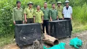 Kế hoạch 628: Chiến dịch bảo vệ động vật hoang dã đạt kết quả ấn tượng