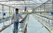 Kỹ sư xây dựng bỏ phố về quê làm nông nghiệp công nghệ cao, thu tiền tỷ