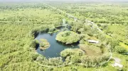 Kỳ tích hồi sinh: Từ 'vùng đất chết' U Minh Thượng sau 24 năm